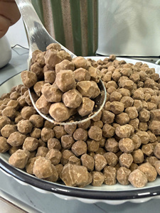 Thé aux bulles aromatisé avec des perles de tapioca au sucre brun, emballé en sachet, thé aux fruits, yaourt, pouding, dessert - Product Image 3