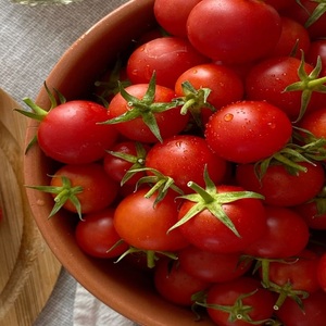 Tomates Frescos de Primera Calidad, Ricos en Vitaminas y Antioxidantes para Dietas Saludables - Product Image 1