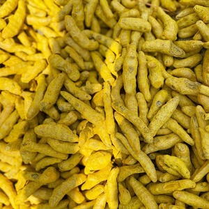 ขมิ้นอินเดียแบบดิบ เกรดพรีเมียม สำหรับผู้ผลิตอาหารขายส่งระหว่างประเทศ - Product Image 3
