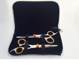 Hot Selling Stainless Steel Barber salon <b>Shear</b> & Hair Cutting Scissor Beauty Type Thinning Scissors set kit - Product Image 5