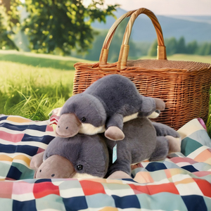 Cute Platpus <b>Pillow</b> - Product Image 1