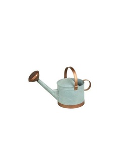Arrosoir décoratif moderne en métal avec surface émaillée imprimée, léger et durable pour les besoins de jardinage intérieur et extérieur - Product Image 4