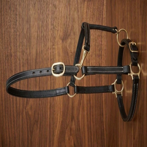 Cabestro de Cuero de Primera Calidad para Montar a Caballo, Estilo Inglés, Accesorio de Cuero Genuino para Silla de Montar, Cabestro Personalizado con Doble Costura - Product Image 1