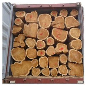 Troncos de Madera de Roble de Gran Diámetro para Aserraderos, Comerciantes de Madera y Fabricantes de Productos de Madera Dura - Product Image 4