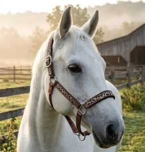 Harnais en nylon pour cheval de haute qualité, durable et tendance, accessoires de bride en cuir de mouton, selle anglaise Rub International - Product Image 3