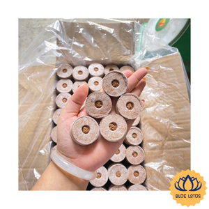 [VENTE CHAUDE] |   Pastilles de coco pour semis, germination des graines et propagation des racines, provenant du Vietnam. - Product Image 1