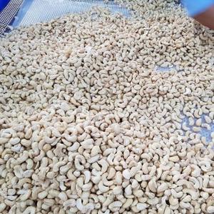 Nueces de Anacardo Blancas Vietnamitas Crudas o Tostadas, Sabor Original, Venta al por Mayor, ODM, OEM, Empaque Personalizado, Proveedor de Fábrica - Product Image 6