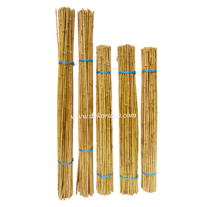 Estacas de Soporte para Plantas de Bambú Cendani Natural, Ecológicas, Duraderas, Hermosas, Secas y Rectas (Tamaño Personalizado) - Product Image 4