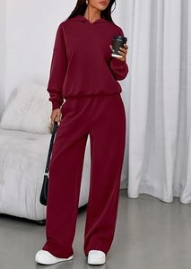 Conjunto de Sudadera con Capucha de Forro Polar de 2 Piezas para Mujer, Color Sólido, Corte Holgado, Informal, para Todas las Temporadas, Pantalones de Manga Larga - Product Image 2