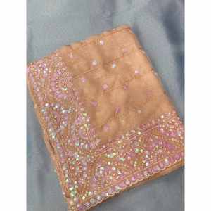 FANCY ORGANZA BORDADO PIEDRA TRABAJO SAREE CON BLUSA SIN COSTAR MELOCOTÓN - Product Image 1