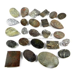 Lote de Huesos de Dinosaurio Naturales, 100 g, Formas Mixtas, Cabujones de Piedras Preciosas para Joyería - Product Image 2