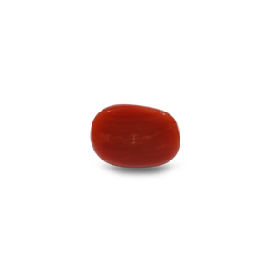 Natural Red Coral Oval Cabochon 9.1 Carat Loose Gemstone Certified Wholesale - Product Image 2
