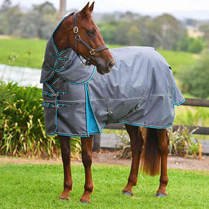 Couverture de cheval en coton respirante, imperméable et résistante aux intempéries, avec boucles de fixation sécurisées, design léger et durable, lavable en machine pour - Product Image 5