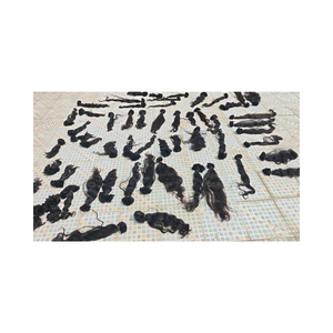 Perruque en cheveux indiens vierges doublement étirés, en vrac, avec des mèches non traitées, épaisses de la racine aux pointes, idéale pour une tenue durable. - Product Image 2