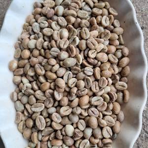 Prix d'usine pour les grains de café Robusta, calibre 16, 18, faible humidité, matière première pour torréfaction, nouvelle récolte, ferme des Highlands du Dak Lak, Vietnam - Product Image 5