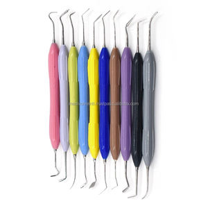 Kit d'instruments de restauration dentaire en composite 10 pièces avec cassette de stérilisation – Équipements de remplissage dentaire – Fournisseur en gros - Product Image 4