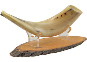 Venta al por mayor de alta calidad pulido Ram Horn Shofar decoración del hogar natural genuina para la venta por CRAFTSY HOME - Product Image 2