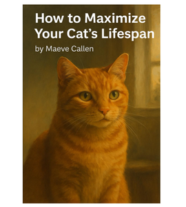 Bell the CAT: Tu Amigo, Filósofo y Guía para Gatos (Venta al por Mayor) - Product Image 1
