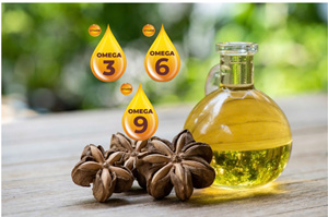 DISPONIBLE Aceite de Sacha Inchi Orgánico de Calidad de Exportación, 100% Puro, Prensado en Frío, Extra Virgen, para Mercados Globales - Product Image 3