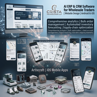 Logiciel ERP CRM IA pour les détaillants en gros, conception de sites Web, applications mobiles Android iOS, plugin WordPress Shopify, e-commerce IA