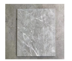 <span class=keywords><strong>2025</strong></span> thiết kế hiện đại <span class=keywords><strong>New</strong></span> 600x600 Glossy & Matte sứ gạch giá thấp linh hoạt Wall & gạch lát sàn - Product Image 4