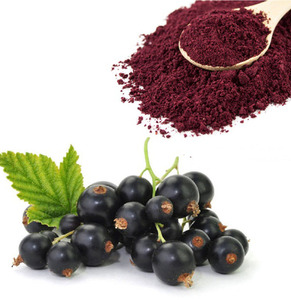 Poudre de jus de cassis de qualité supérieure - Product Image 2