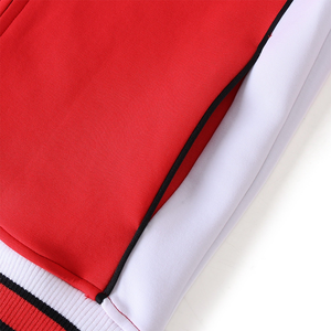 Survêtement de jogging décontracté Delta Sigma Theta DST personnalisé avec fermeture éclair, grande taille, imprimé uni, hiver, écologique, lettres grecques, 100 % coton - Product Image 2