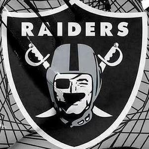 Gants de football américain personnalisés avec design imprimé, gants de football américain à étiquette privée pour les matchs de football américain pour adultes - Product Image 5