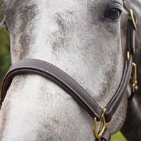 Harnais de polo en cuir d'Argentine, robuste et réglable, en cuir et nylon, durable et adapté à toutes les saisons, équipement équestre, designs personnalisés