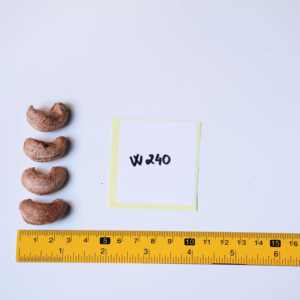 Offre en gros : Noix de cajou grillées non décortiquées du Vietnam, 500g, W240, marque Dong Phu - Emballage premium en boîte cadeau en papier - Product Image 5