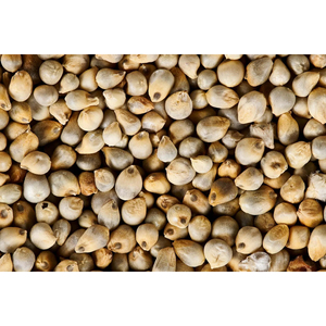 <b>Millet</b> for Baking and Cooking High-Quality Grain for Bread, Cakes, and Healthy Foods - Product Image 4