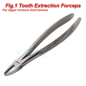 Pince à extraire les dents à prix de gros, pince à extraire les dents la plus vendue en ligne, fabriquée au Pakistan - Product Image 3