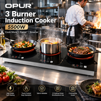 Table de cuisson à induction en verre à 3 brûleurs, cuisinière électrique encastrable de table, 5500W, économie d'énergie pour usage domestique