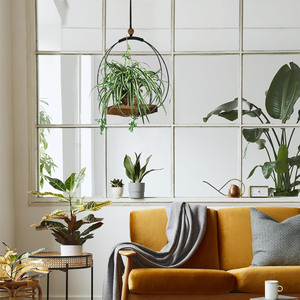 Support de plante suspendu décoratif en métal avec base en bois, porte-plante rond moderne pour la maison, le bureau, le salon, la décoration de table - Product Image 5