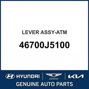 Stinger Nouvelles pièces et accessoires pour voitures et camions 46700J5100 - Product Image 1