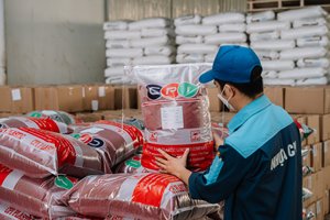Cpivn Vibrant Color <b>Masterbatch</b> for <b>Plastic</b> Packaging Film Woven Bags Industrial Applications Pellet/Granule Shape High Coloring - Product Image 5