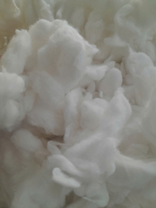 White <b>100</b>% Organic Raw Cotton Loosened Fiber Bulk Natural Material High Quality for Textile Processing - Product Image 1