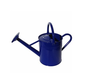 Arrosoir en acier inoxydable bleu, arrosoir en métal avec motif diamant et long bec pour l'utilisation en jardinage - Product Image 2