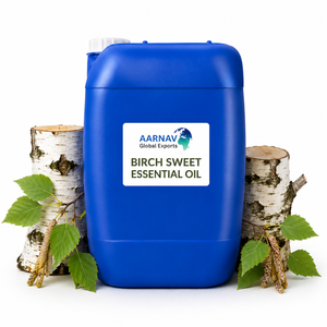Huile Essentielle de Bouleau Doux 100% Pure Distillée à la Vapeur Naturelle Betula Lenta Aromathérapie Parfum Boisé Tous Types de Peau Vrac - Product Image 5