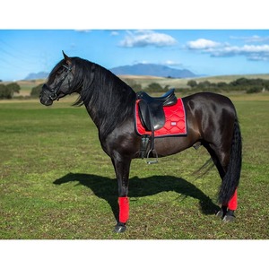 Tapis de selle d'équitation professionnels sur mesure avec doublure en polycoton, qualité supérieure, service OEM, couleur personnalisée - Product Image 5