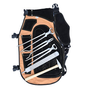 Juego de herramientas duradero para herrador: Cortador de pezuñas, escofina de acabado, delantal marrón, pinzas para fuego, herramienta de extracción de crimpas y martillo puntiagudo - Product Image 1