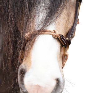 Fabricant en gros d'équipements équestres : Licol hybride en cuir de cheval teint à la tambourine, avec cordes fantaisie cousues, en cuir de cheval - Product Image 4