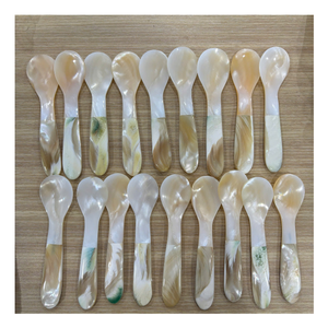 Cuillère décorative en coquillage à surface lisse pour la mise en scène de table, la décoration de spa et les projets d'intérieur côtiers - Product Image 1