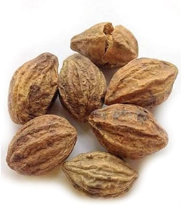 Polvo de Haritaki Premium de Grado Alimenticio, Proveedor a Granel de Polvo de Haritaki para Suplementos Herbales, Bienestar Ayurvédico y Nutricional - Product Image 2