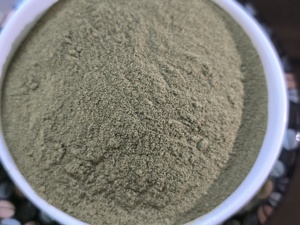 Polvo de Hoja de Moringa de Alta Calidad para Aplicaciones Alimentarias Comerciales, Polvo de Planta Natural para Distribución y Empaque al por Mayor - Product Image 2