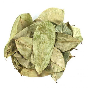 Gomme de corossol séchée naturelle du Vietnam, collation moelleuse sans sucre ajouté, vente en gros, qualité export, prix d'usine, expédition mondiale - Product Image 3