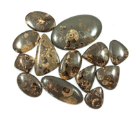 Lote de Cabujones de Ammonites Naturales de Marston, Formas Variadas, Curación de Chakras, Piedras Preciosas Sueltas para Joyería, Origen Reino Unido