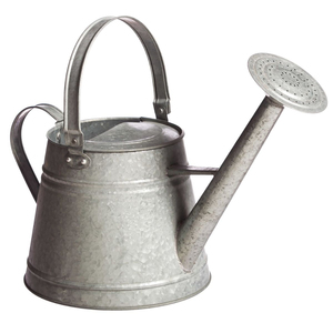 Arrosoir en fer galvanisé vieilli de style vintage, grande capacité (1 gallon), pour plantes d'intérieur et d'extérieur, pot d'irrigation de jardin - Product Image 1