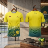 Camiseta Promocional Personalizada de Vietnam Airlines para Pickleball, OEM ODM, al por Mayor, Absorbente de Humedad, Unisex, Manga Corta, Ropa Deportiva de Poliéster