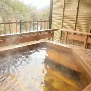 Para proyectos de sauna y casa de baños Iluminación empotrada impermeable - Product Image 6